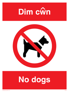 PV916: Dim cwn  No dogs