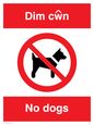PV916: Dim cwn  No dogs