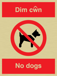 PV916: Dim cwn  No dogs