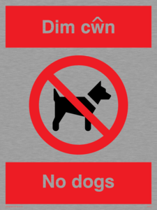 PV916: Dim cwn  No dogs