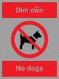 PV916: Dim cwn  No dogs