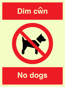 PV916: Dim cwn  No dogs