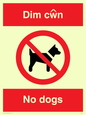 PV916: Dim cwn  No dogs