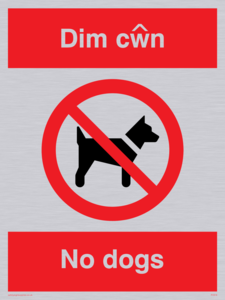 PV916: Dim cwn  No dogs