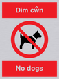 PV916: Dim cwn  No dogs