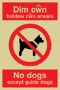 PV917: Dim cwn heb law cwn arwain