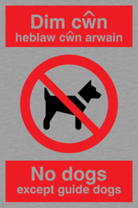 PV917: Dim cwn heb law cwn arwain