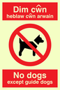PV917: Dim cwn heb law cwn arwain