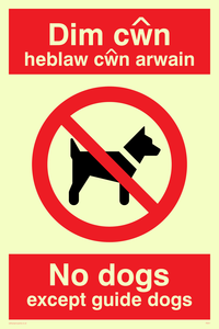PV917: Dim cwn heb law cwn arwain