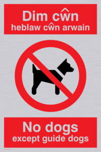 PV917: Dim cwn heb law cwn arwain