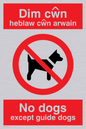 PV917: Dim cwn heb law cwn arwain