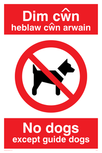 PV917: Dim cwn heb law cwn arwain