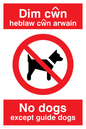 PV917: Dim cwn heb law cwn arwain