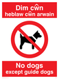 PV917: Dim cwn heb law cwn arwain