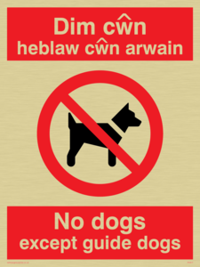 PV917: Dim cwn heb law cwn arwain