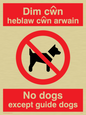 PV917: Dim cwn heb law cwn arwain