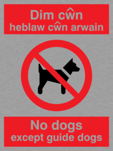 PV917: Dim cwn heb law cwn arwain