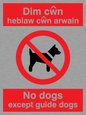 PV917: Dim cwn heb law cwn arwain