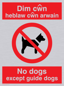 PV917: Dim cwn heb law cwn arwain