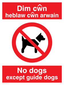 PV917: Dim cwn heb law cwn arwain