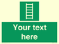 SA7285: Custom sign safe condition Escape ladder