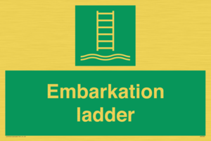 SA7296: Embarkation ladder