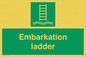 SA7296: Embarkation ladder