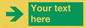 SB10620: Custom Safe condition: Green right arrow