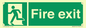 SB420: Fire Exit signs without arrows