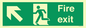 SB423: Fire exit