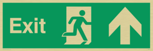 SB437: exit