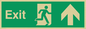SB437: exit