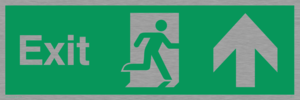 SB437: exit