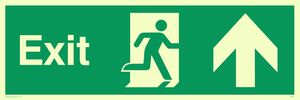 SB437: exit