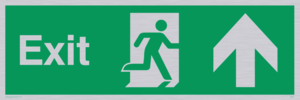 SB437: exit