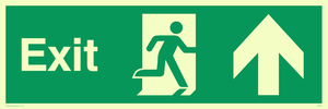 SB437: exit