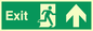 SB437: exit