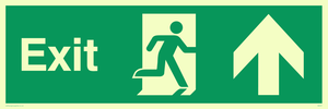 SB437: exit