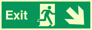 SB441: exit