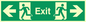 SB446: exit