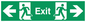 SB446: exit