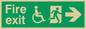 SD953: fire exit - disability safety sign