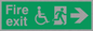SD953: fire exit - disability safety sign