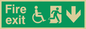 SD955: fire exit - disability safety sign