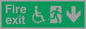 SD955: fire exit - disability safety sign