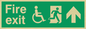 SD956: fire exit - disability safety sign