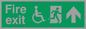 SD956: fire exit - disability safety sign
