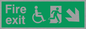 SD958: fire exit - disability safety sign