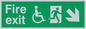 SD958: fire exit - disability safety sign