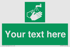 SH7307: Custom Safe Condition Hand washing facility